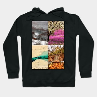 Four seasons in Greece Hoodie